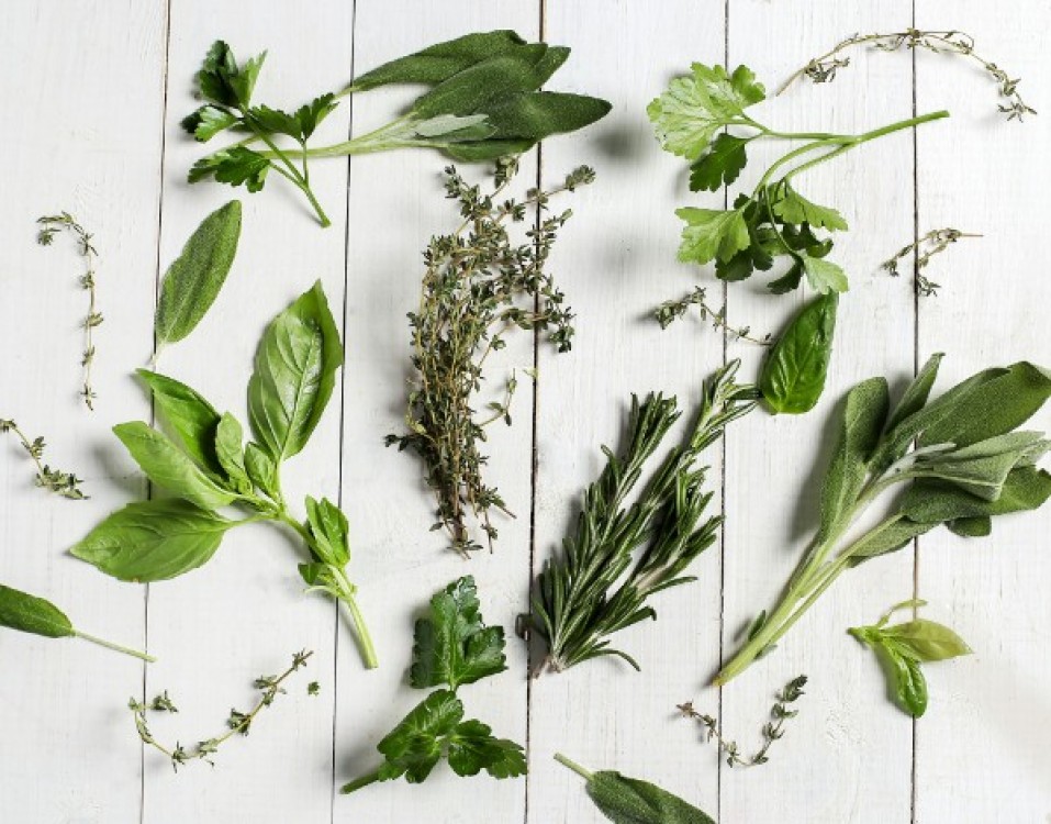10 plante aromatice care pot fi cultivate in bucatarie