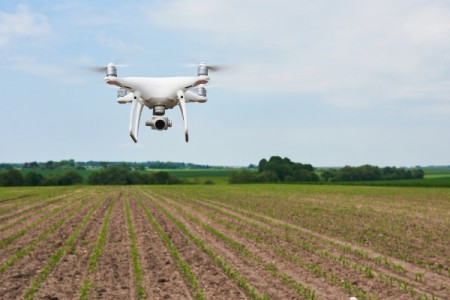 Agricultura digitala castiga teren in vestul tarii