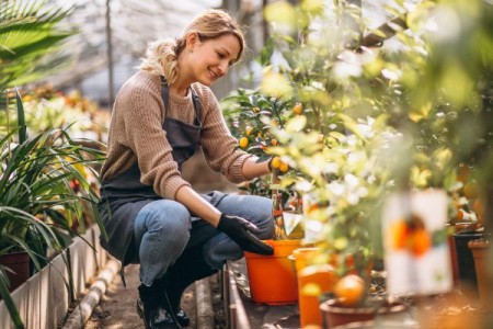 Agroland Business System obtine un grant de 120.000 de euro prin programul IMM-AGRI-FOOD