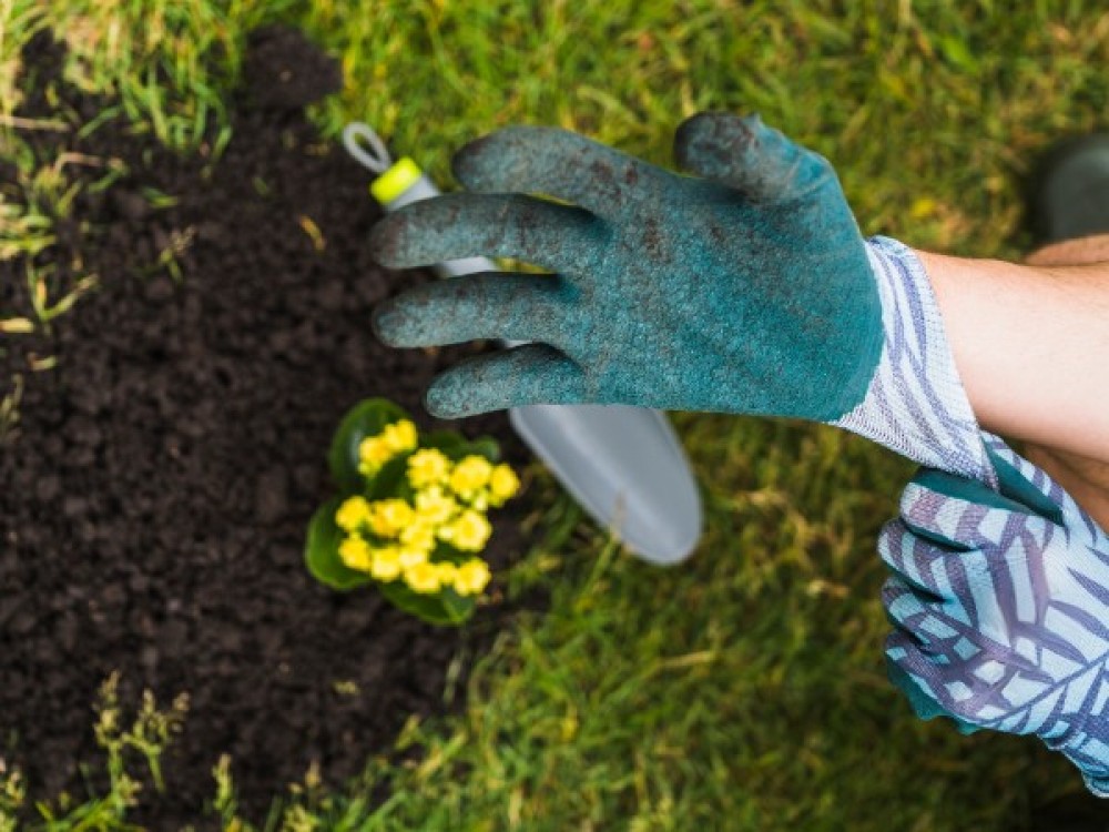 Rolul humusului in gradini