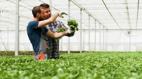 MADR: Cooperare pentru dezvoltarea sistemului de irigatii si a invatamantului agricol din Romania