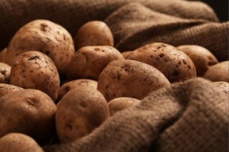 Bani pentru fermieri: 200 de euro la hectar