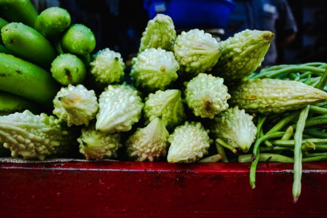 Cum putem avea in gradina o cultura de castravete amar? Avantaje, oportunitati si beneficii