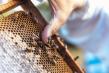 Schimbari legislative pentru apicultorii care primesc ajutor prin PNA