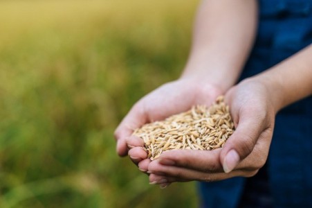 Ministrul Agriculturii: 