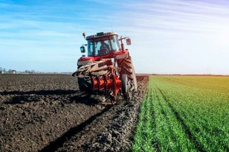 Romania exporta grau, insa importa aluat congelat