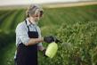 Tarile UE care folosesc o cantitate mica de pesticide nu pot fi fortate sa le reduca mai mult