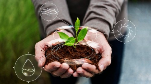 AFIR: Sprijin financiar de peste 15 milioane de euro pentru fermieri