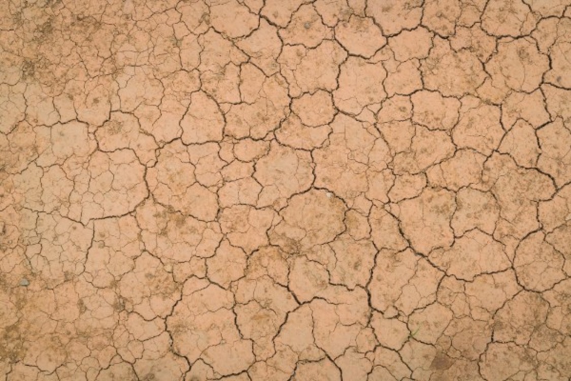 Seceta continua: 154.773 hectare in 20 de judete