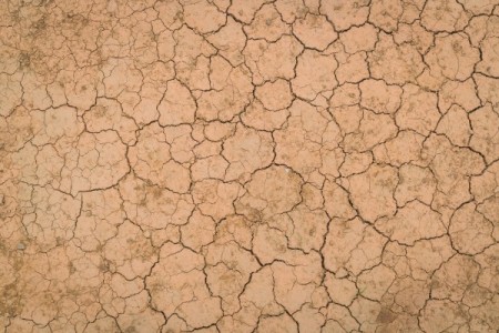 Seceta continua: 154.773 hectare in 20 de judete
