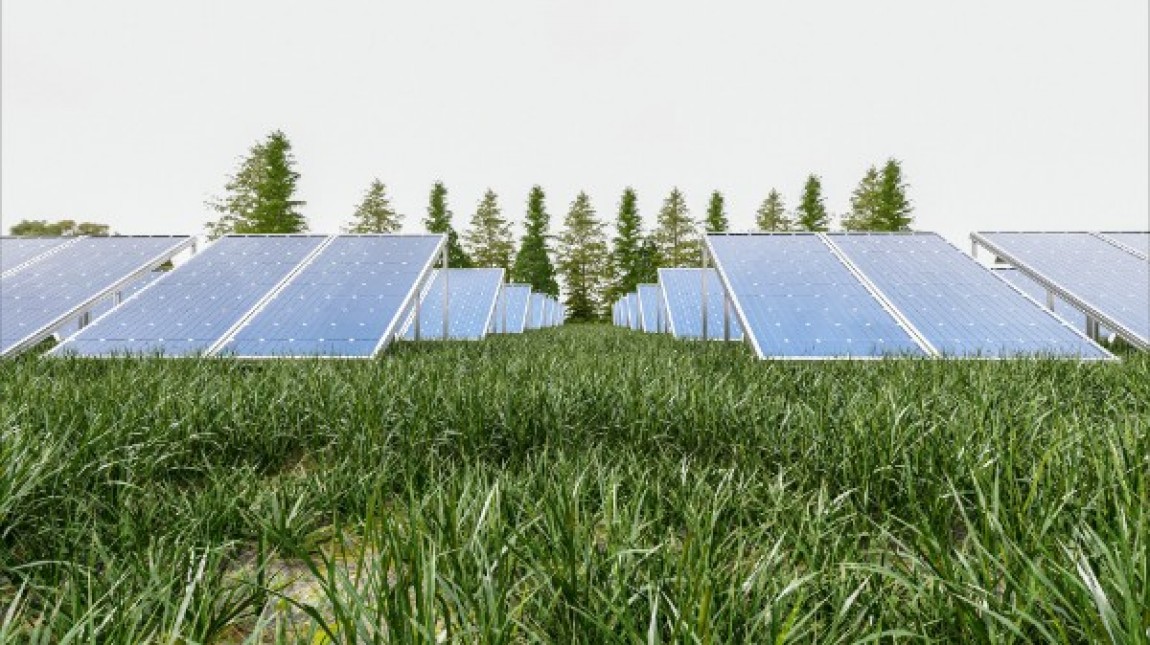 Lege noua: panouri fotovoltaice pe terenuri agricole
