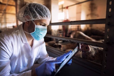 PPA: Colaborare multinationala pentru control si eradicare
