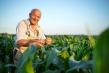 MADR: Ajutoare exceptionale pentru producatorii agricoli