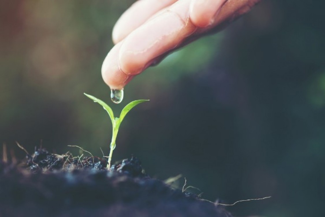 Ministrul Agriculturii: Canalul Siret-Baragan va fi realizat pana in 2027