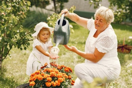 Cum se uda corect florile?
