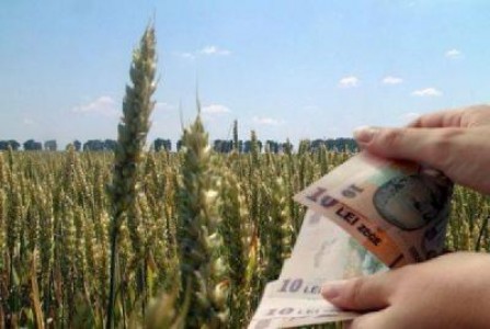 APIA: Aproape 830.000 de cereri unice de plata au fost depuse