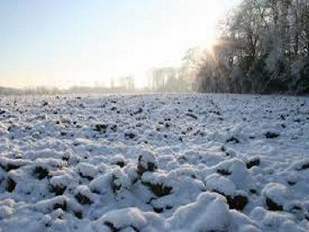 Cum va fi vremea in decembrie
