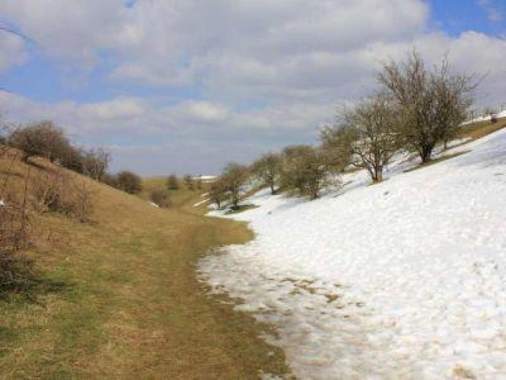 Buletin agrometeorologic pentru perioada 5-9 februarie