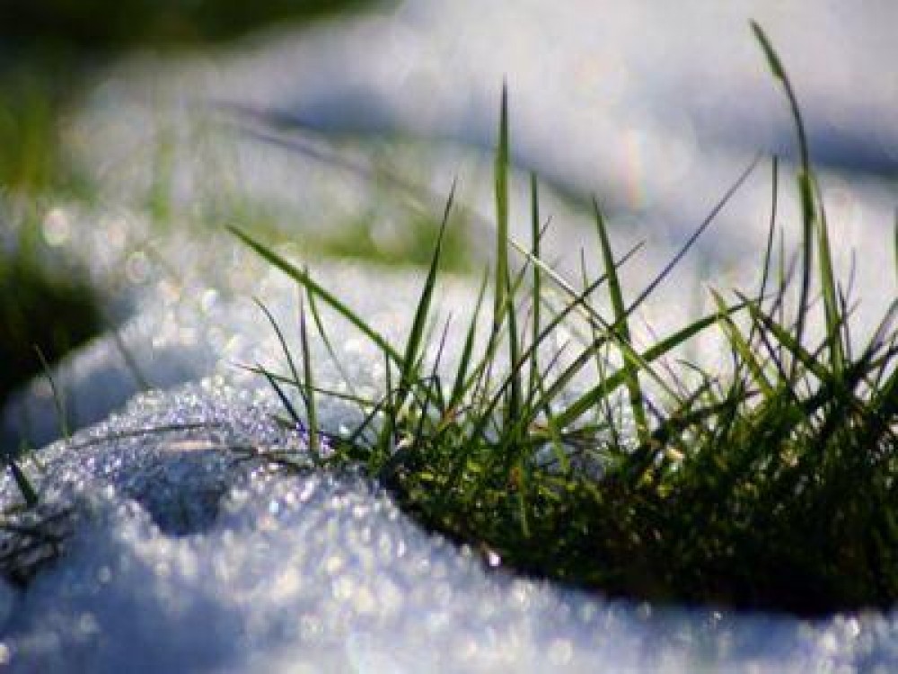 Buletin agrometeorologic pentru perioada 8-12 ianuarie