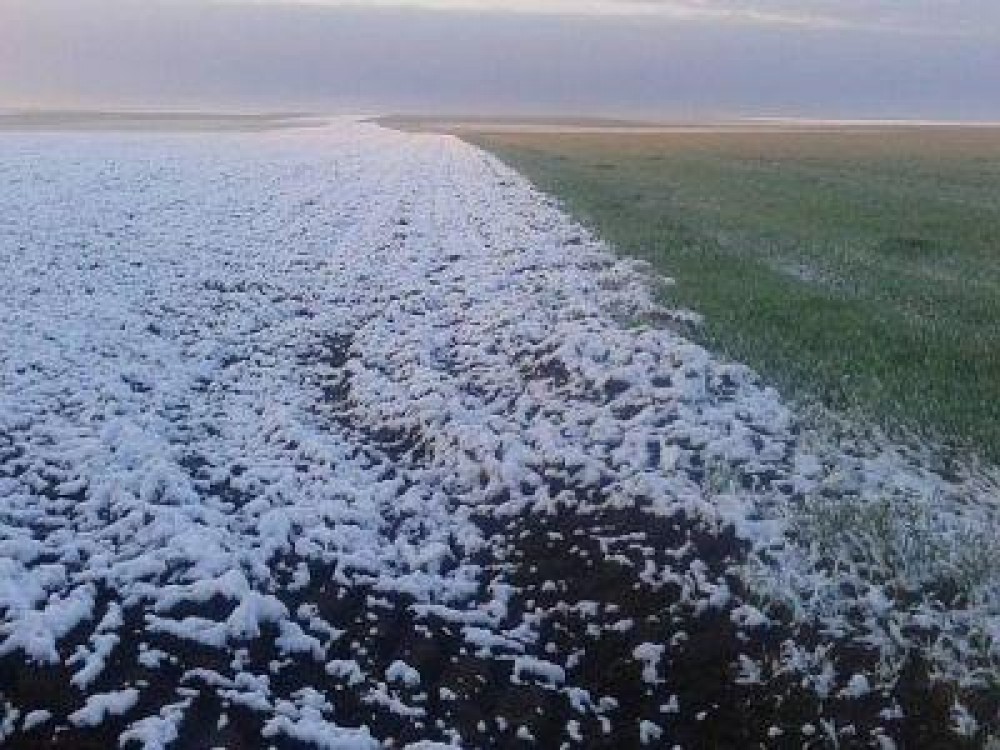 Prognoza agrometeorologica pana la sfarsitul lunii