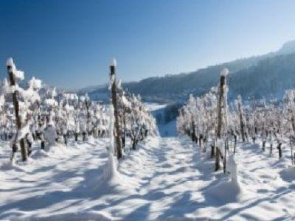 Buletin agrometeorologic pentru perioada 31 ianuarie - 6 februarie