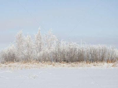 Zapada ingreuneaza controalele in teren ale specialistilor de la APIA