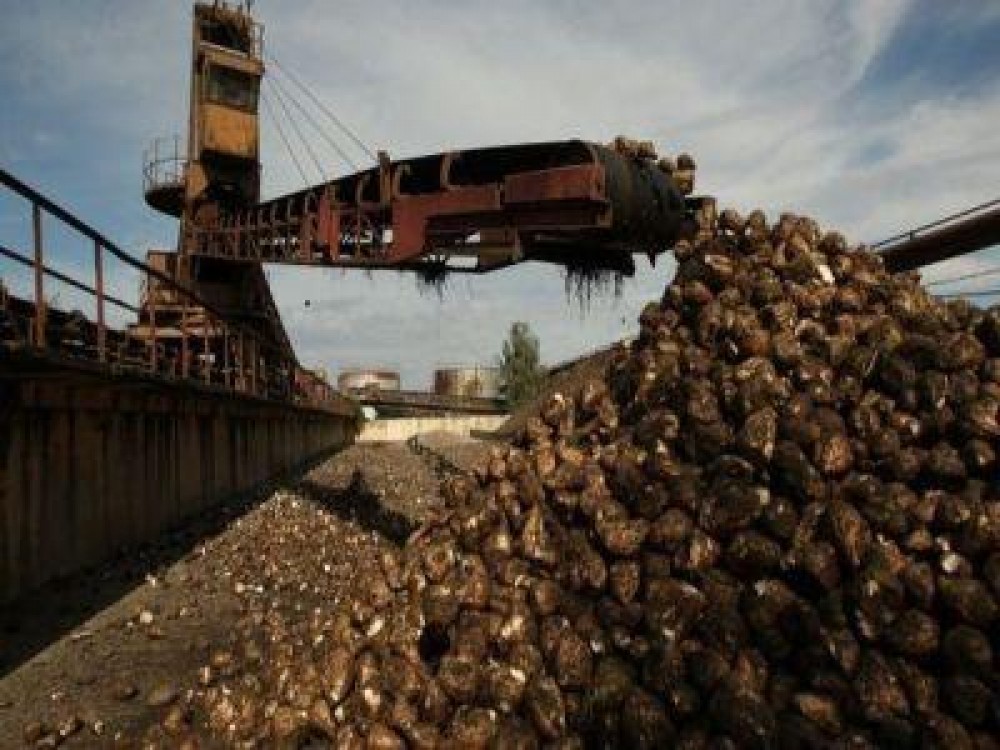 MADR a demarat procedura de recunoastere a fabricilor de zahar