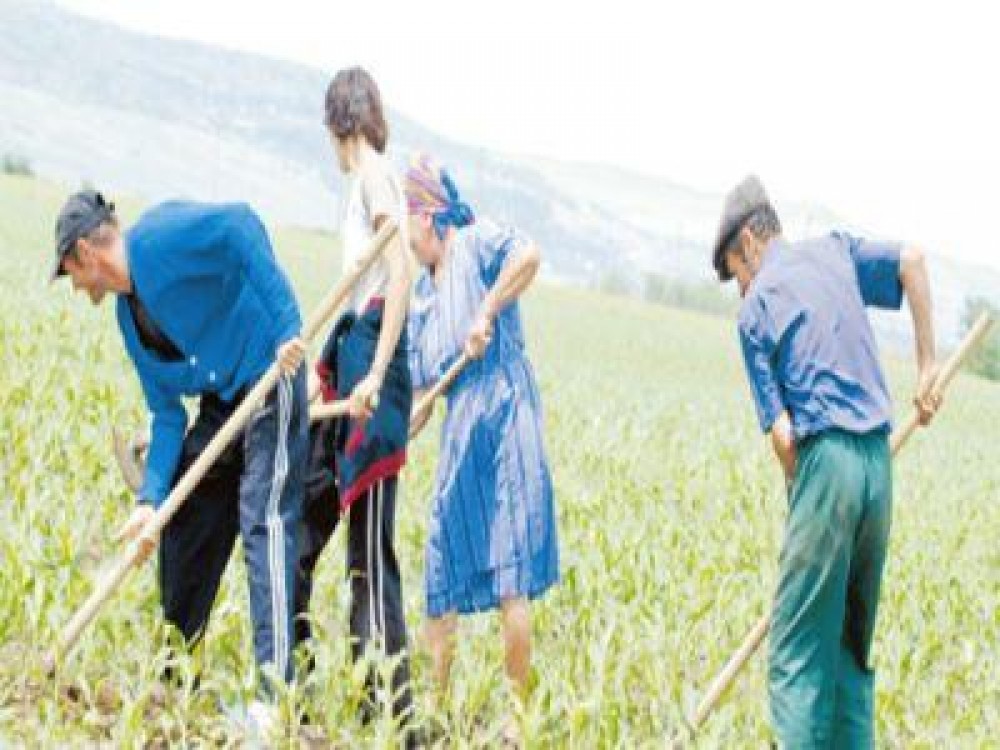 Seful MADR propune vouchere in loc de ajutoare sociale