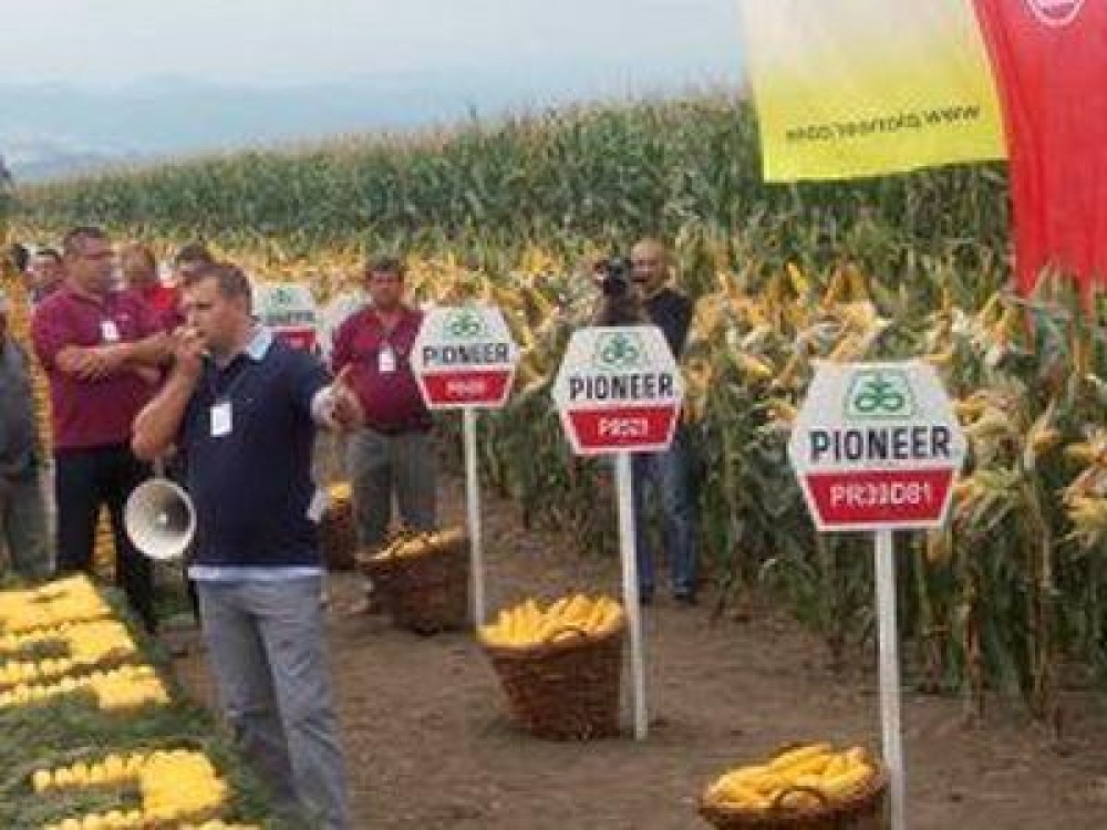 TCE 3 Brazi a organizat, vineri, Sarbatoarea porumbului la Zanesti