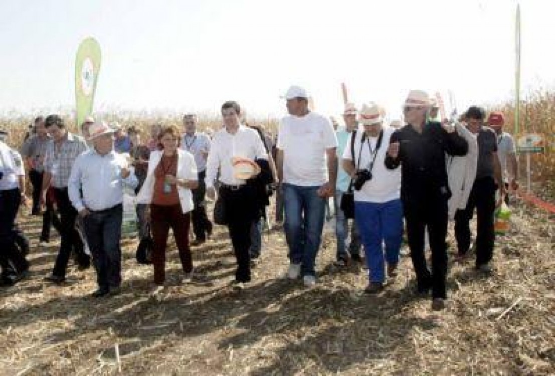 Ialomita: Azi a avut loc a patra editie a Zilei Porumbului