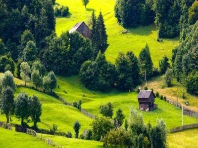 100 de milioane anual pentru amenajarea  de pasuni si alte investitii in zona montana